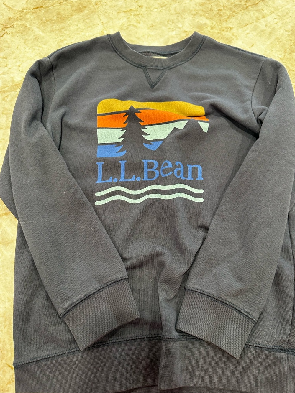 L.L. Bean Black Crewneck Sweatshirt with Multicolor Nature Graphic